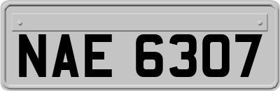 NAE6307