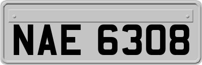 NAE6308