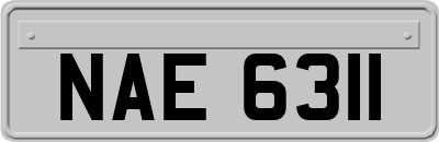 NAE6311