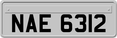 NAE6312