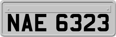 NAE6323