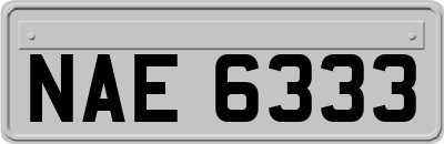 NAE6333