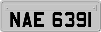 NAE6391