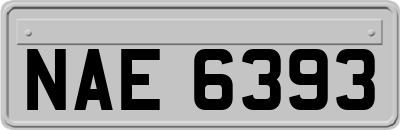 NAE6393