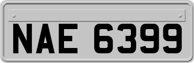 NAE6399