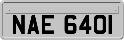 NAE6401