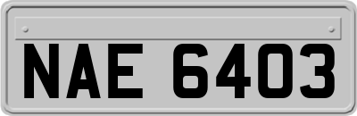 NAE6403