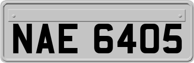 NAE6405