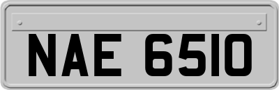 NAE6510