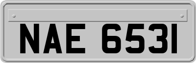 NAE6531