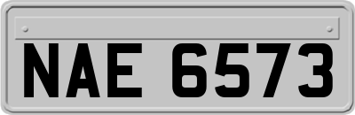 NAE6573