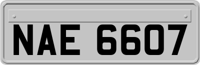 NAE6607