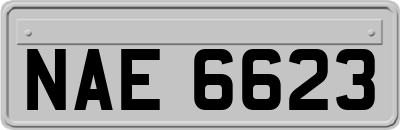 NAE6623