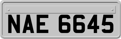 NAE6645