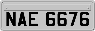 NAE6676