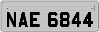 NAE6844