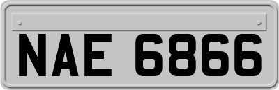 NAE6866