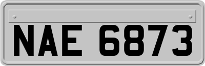 NAE6873