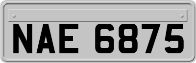 NAE6875