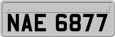 NAE6877