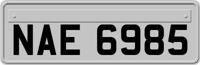 NAE6985