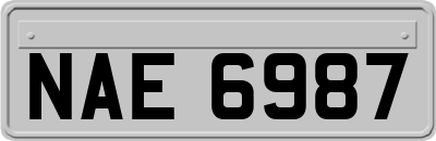 NAE6987