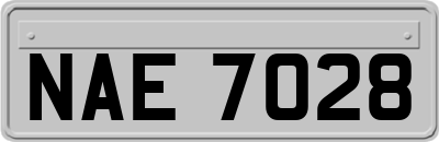 NAE7028