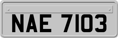 NAE7103