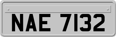 NAE7132