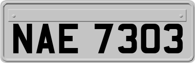 NAE7303