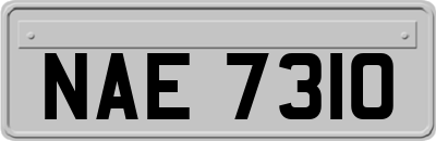 NAE7310