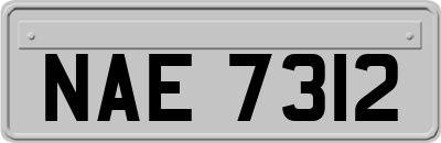 NAE7312