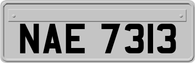 NAE7313