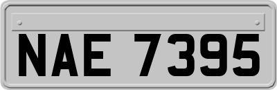 NAE7395