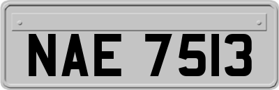 NAE7513