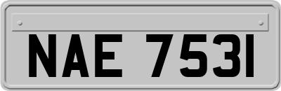 NAE7531