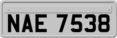 NAE7538