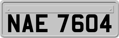 NAE7604