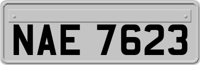 NAE7623