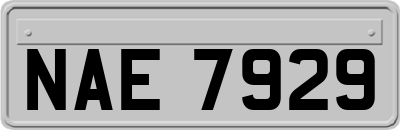 NAE7929