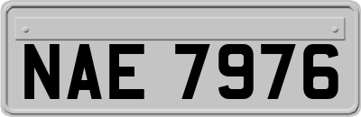 NAE7976