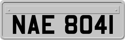 NAE8041