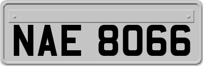 NAE8066