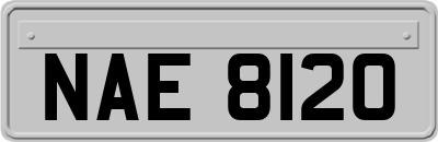 NAE8120