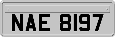 NAE8197