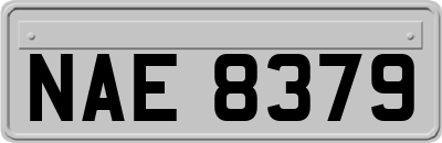 NAE8379