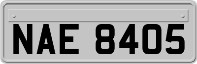 NAE8405