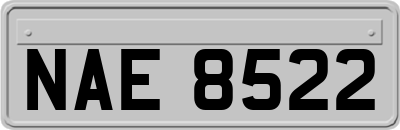 NAE8522