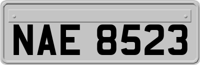 NAE8523