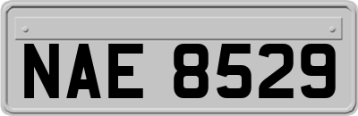 NAE8529